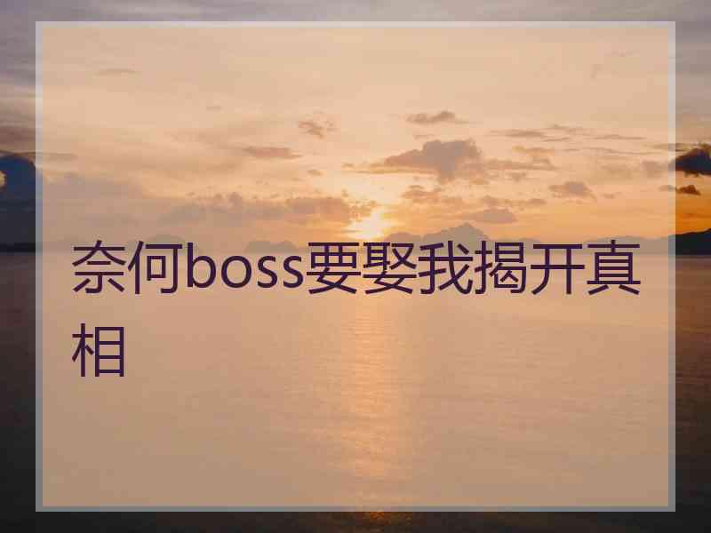 奈何boss要娶我揭开真相