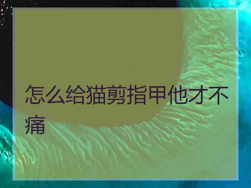 怎么给猫剪指甲他才不痛