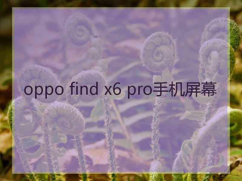 oppo find x6 pro手机屏幕