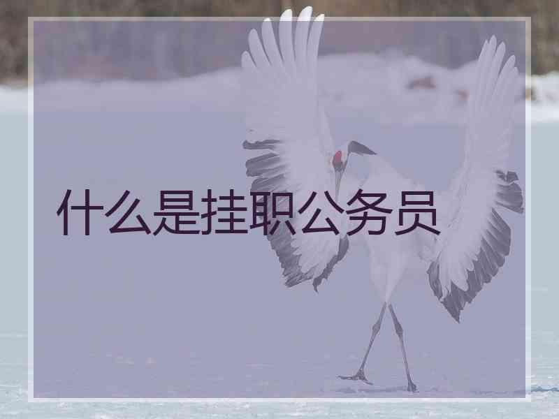 什么是挂职公务员