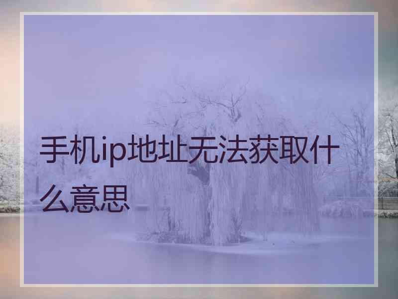 手机ip地址无法获取什么意思