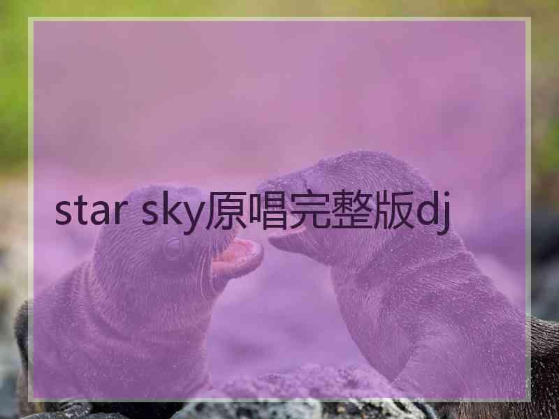 star sky原唱完整版dj