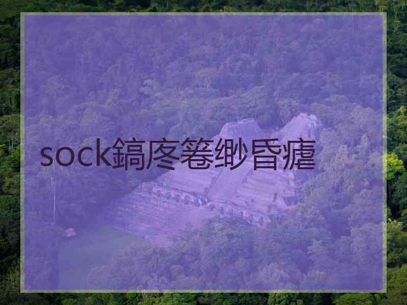 sock鎬庝箞缈昏瘧