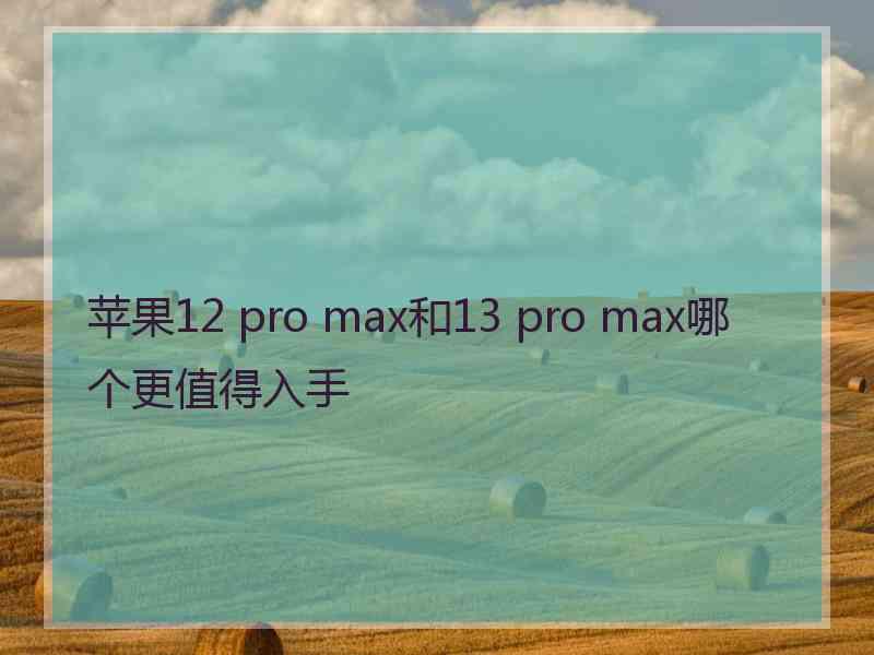 苹果12 pro max和13 pro max哪个更值得入手