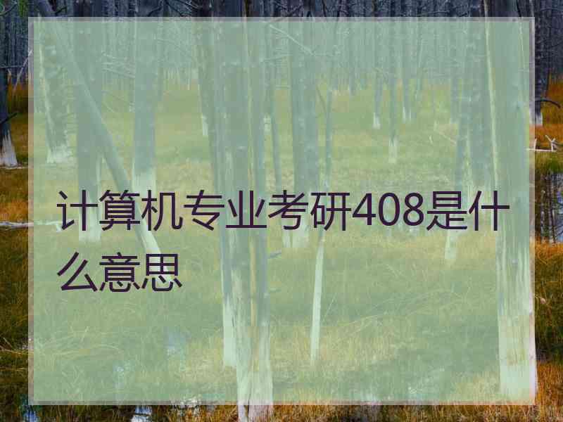 计算机专业考研408是什么意思