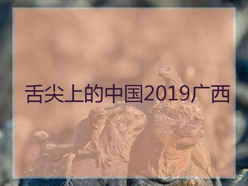 舌尖上的中国2019广西