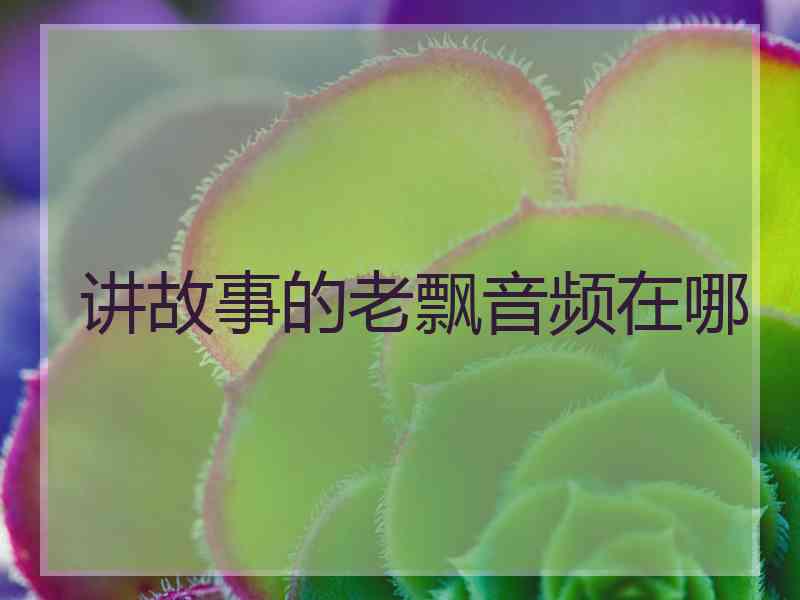 讲故事的老飘音频在哪