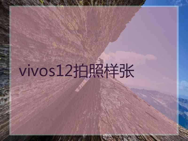 vivos12拍照样张