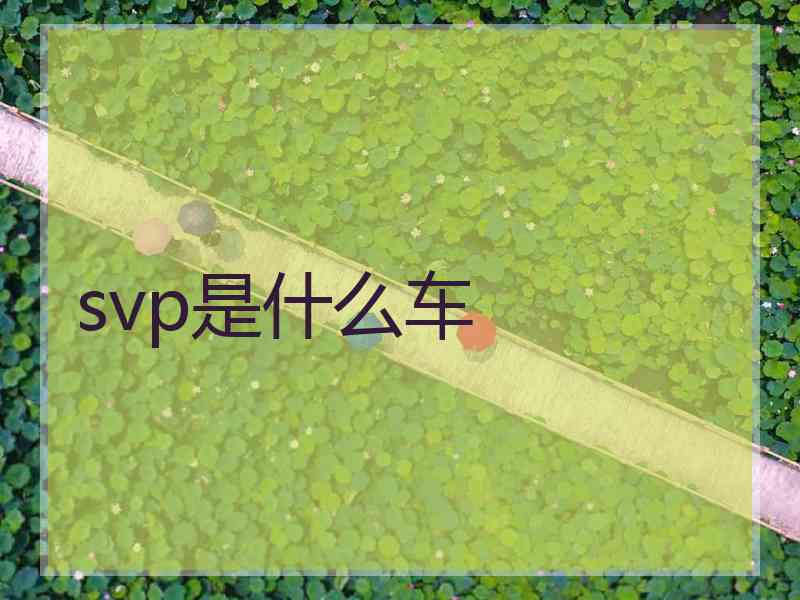 svp是什么车