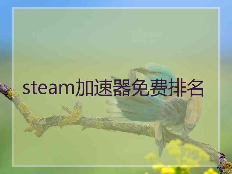 steam加速器免费排名