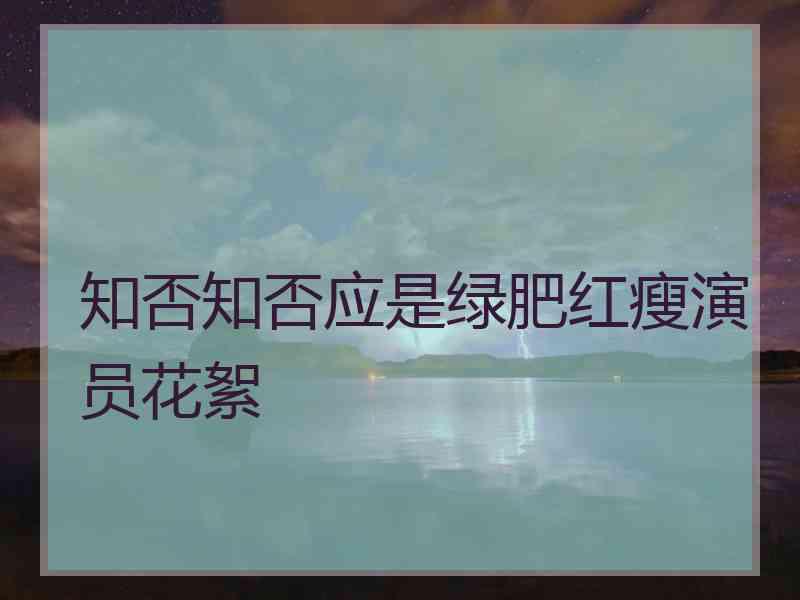 知否知否应是绿肥红瘦演员花絮