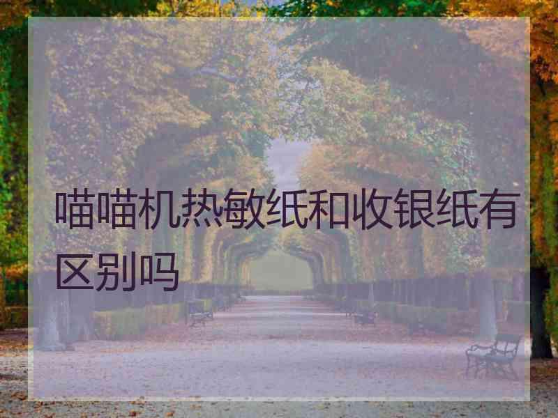 喵喵机热敏纸和收银纸有区别吗