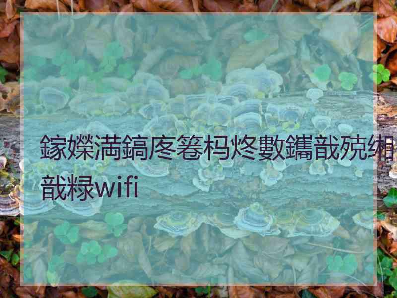 鎵嬫満鎬庝箞杩炵數鑴戠殑缃戠粶wifi