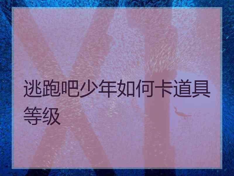 逃跑吧少年如何卡道具等级