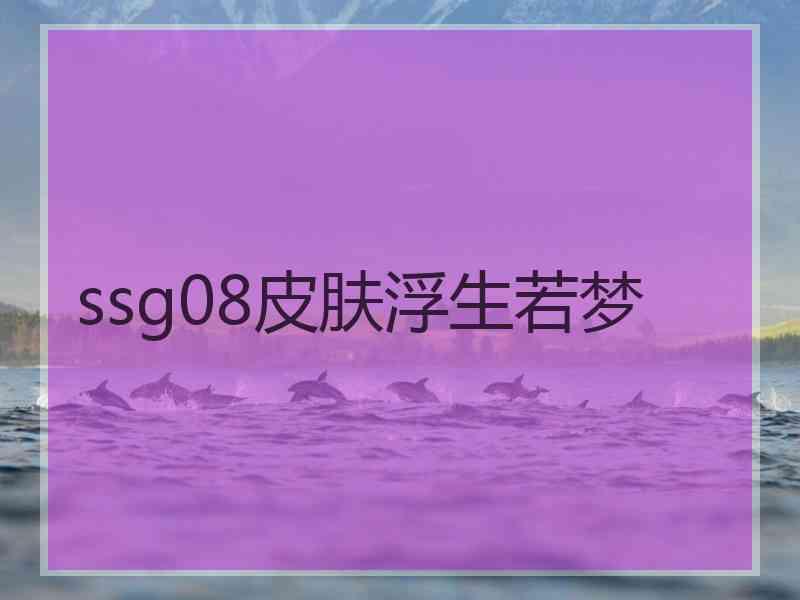 ssg08皮肤浮生若梦