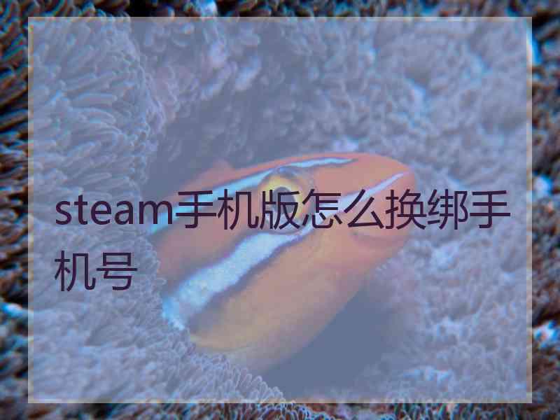 steam手机版怎么换绑手机号