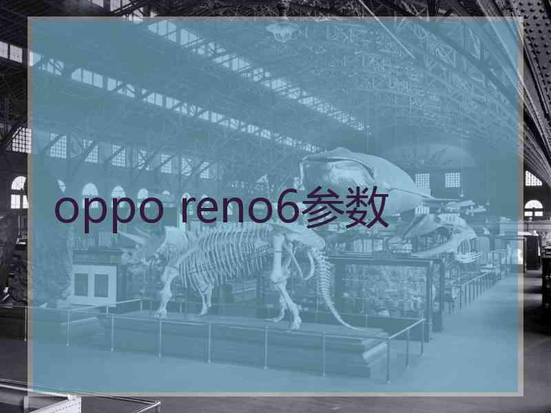 oppo reno6参数