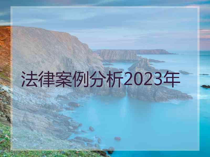 法律案例分析2023年