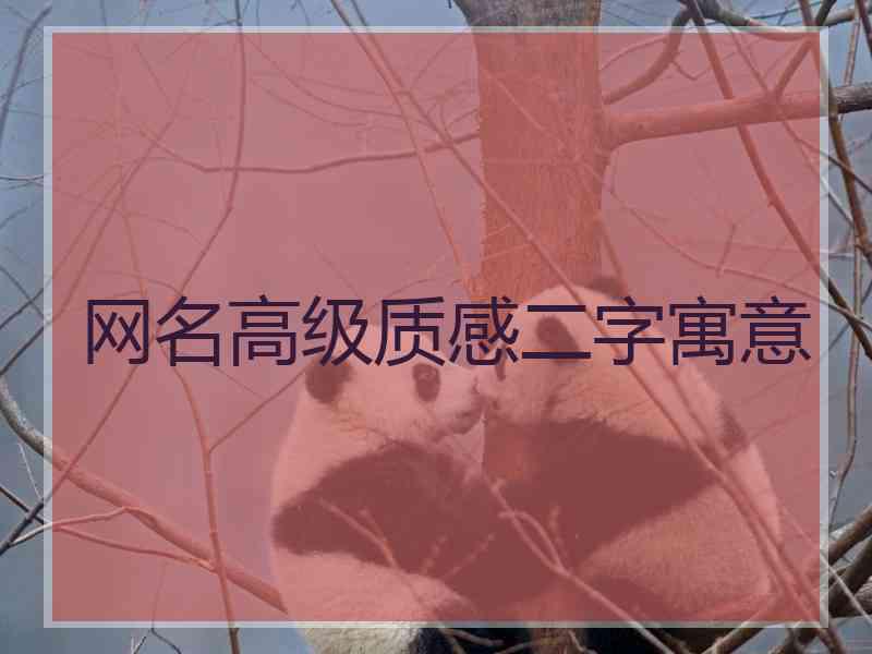 网名高级质感二字寓意