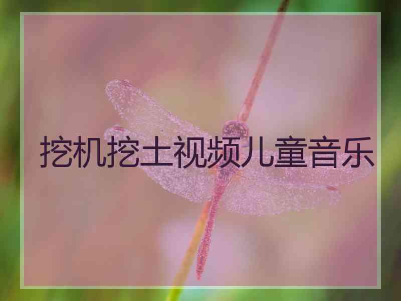 挖机挖土视频儿童音乐