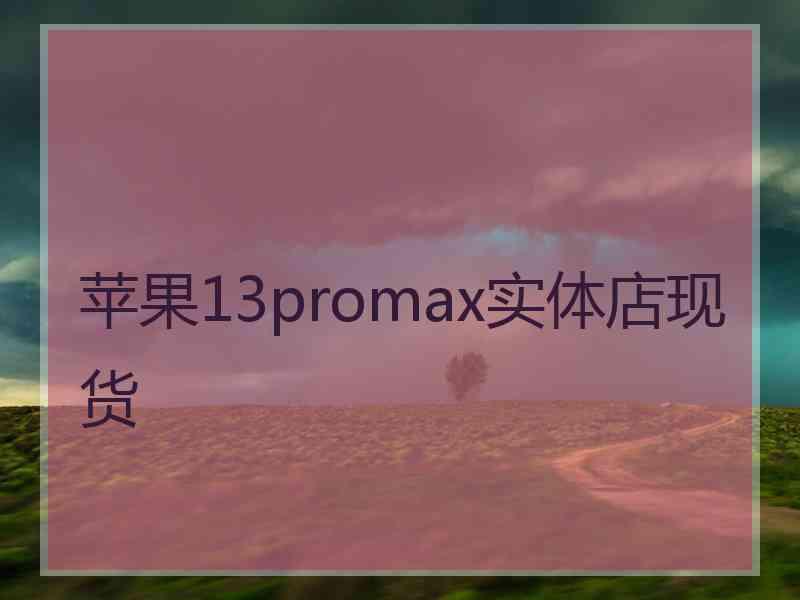 苹果13promax实体店现货