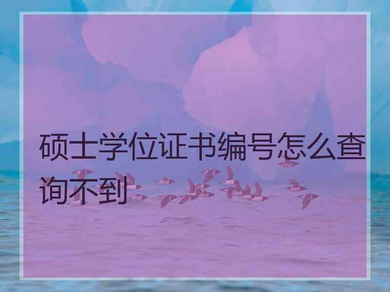 硕士学位证书编号怎么查询不到