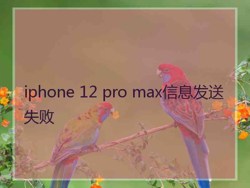 iphone 12 pro max信息发送失败