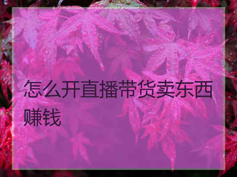 怎么开直播带货卖东西赚钱