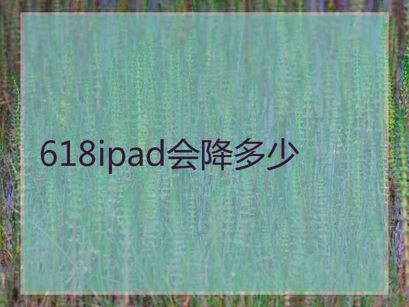 618ipad会降多少