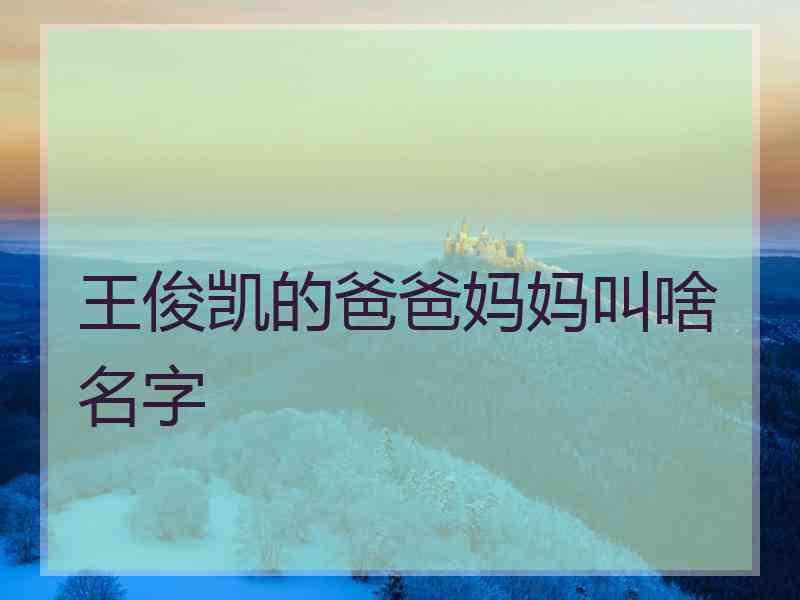 王俊凯的爸爸妈妈叫啥名字