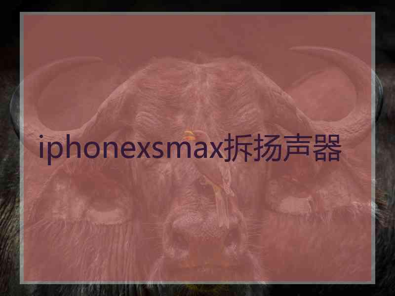 iphonexsmax拆扬声器