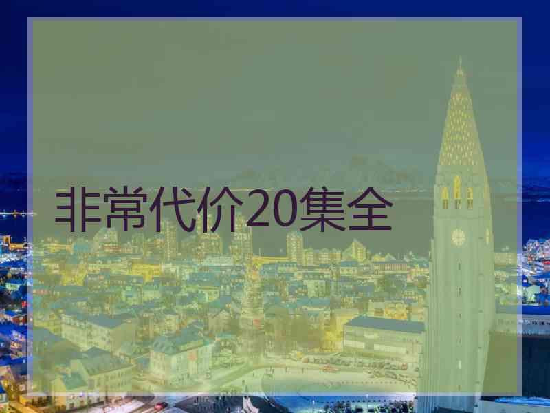 非常代价20集全