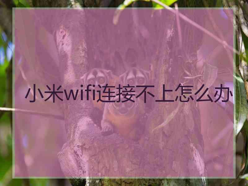 小米wifi连接不上怎么办