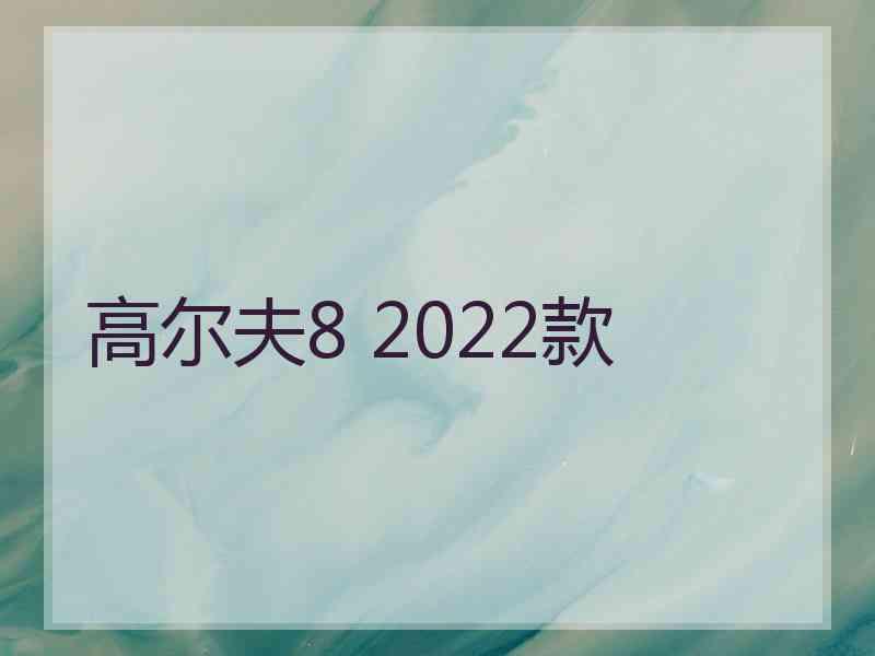 高尔夫8 2022款