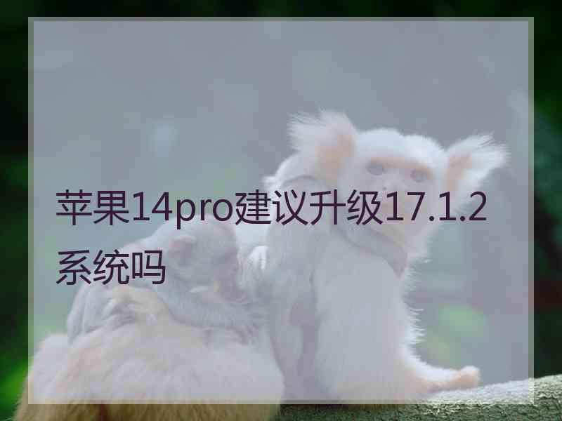 苹果14pro建议升级17.1.2系统吗