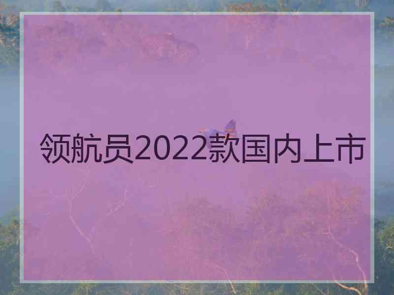 领航员2022款国内上市