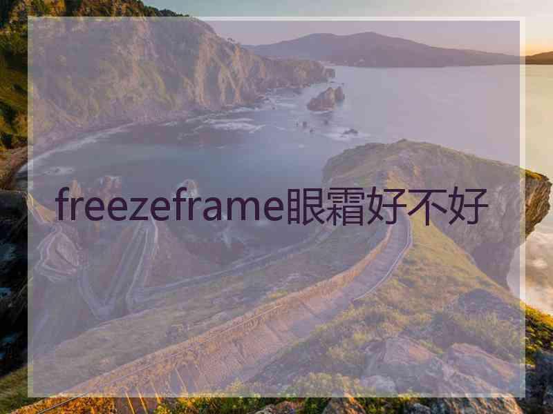 freezeframe眼霜好不好