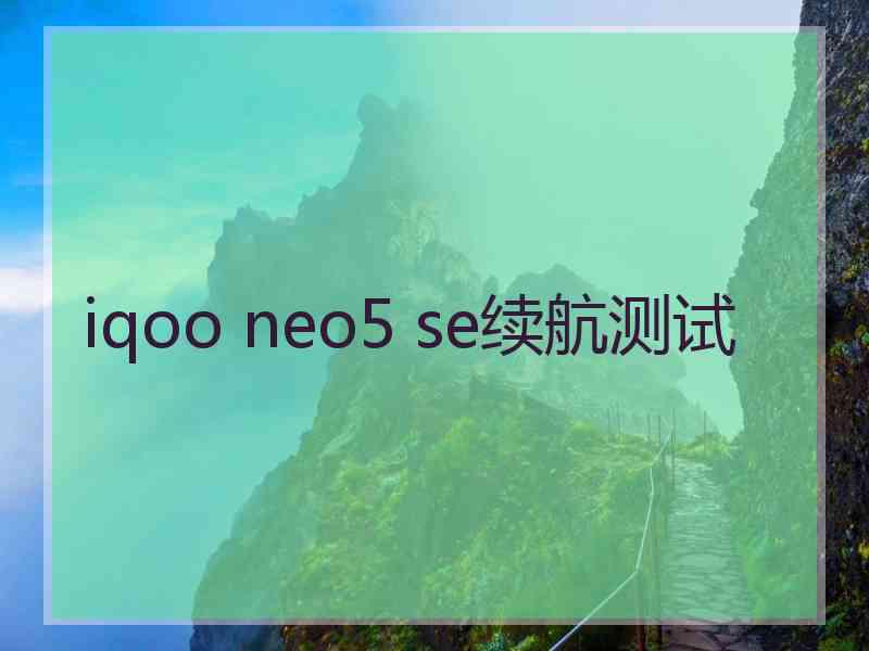 iqoo neo5 se续航测试