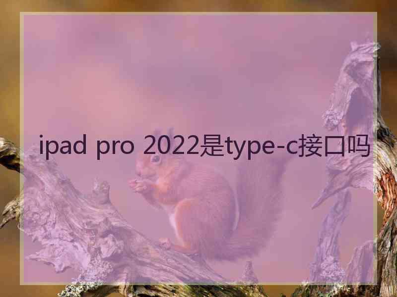 ipad pro 2022是type-c接口吗