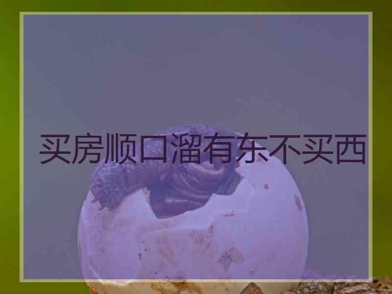 买房顺口溜有东不买西