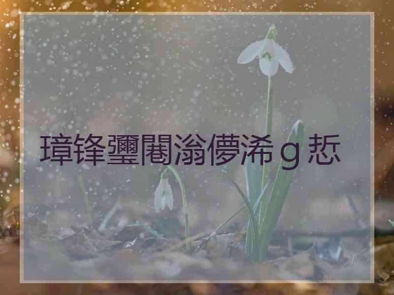 璋锋瓕闀滃儚浠ｇ悊