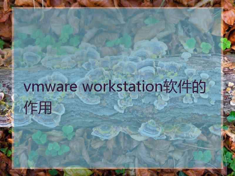 vmware workstation软件的作用