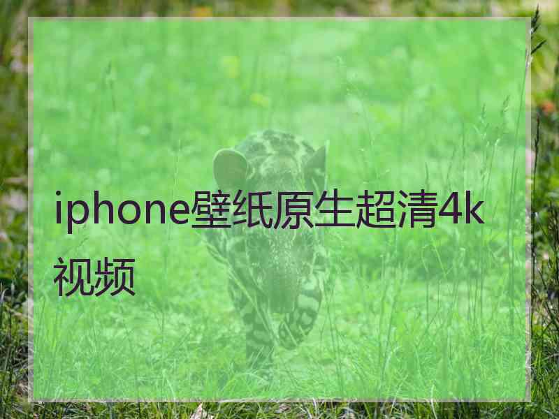 iphone壁纸原生超清4k视频