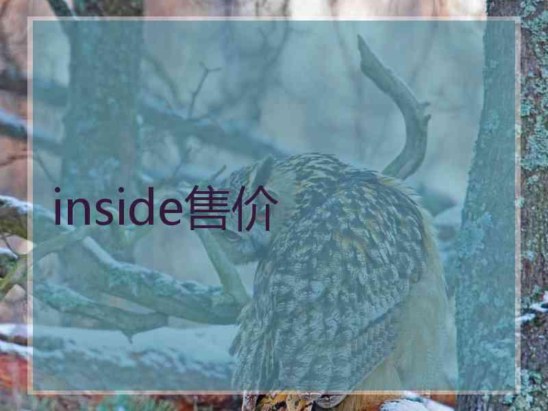 inside售价