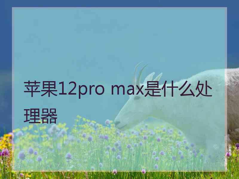 苹果12pro max是什么处理器