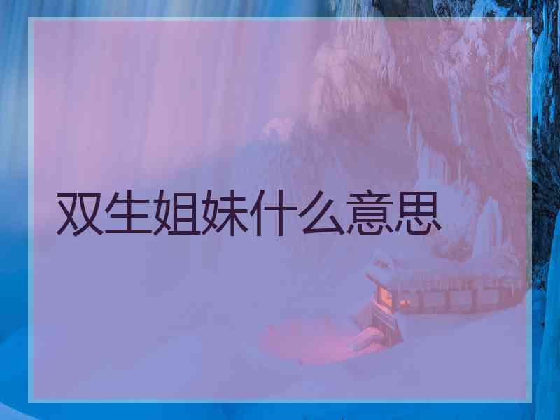 双生姐妹什么意思