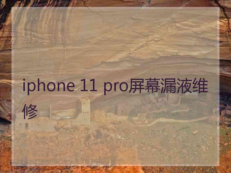 iphone 11 pro屏幕漏液维修