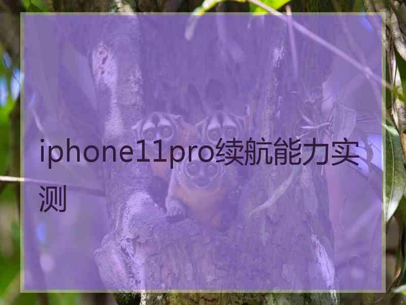 iphone11pro续航能力实测