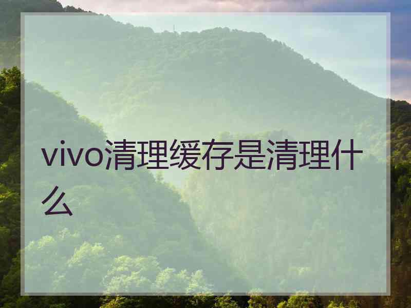 vivo清理缓存是清理什么