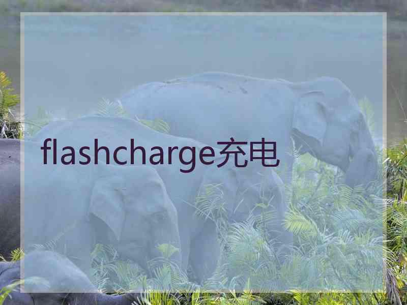 flashcharge充电